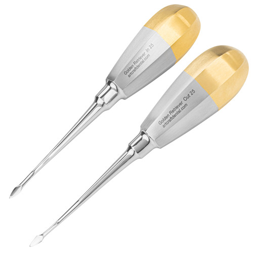 Artcraft Dental Golden Retriever Spears Posterior Set 7103514