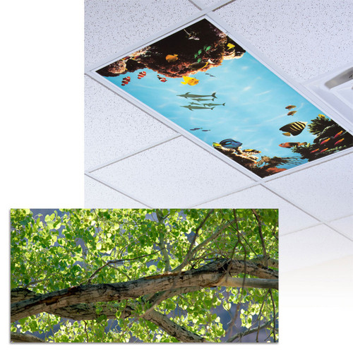 Indian Summer Light Panel 6122859