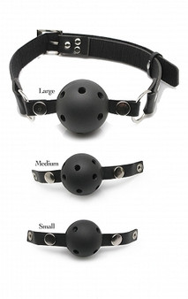 Ball Gag Training System