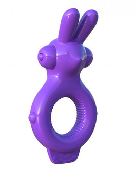 Fantasy C-Ringz Rabbit Ring Purple Vibrator