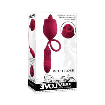 Wild Rose Wild Rose