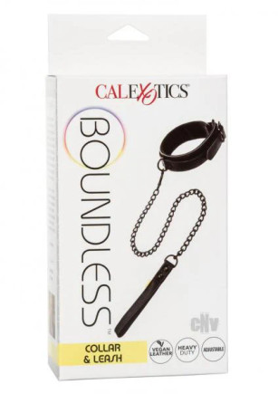 Boundless Collar & Leash