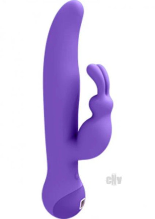 Touch By Swan Duo Rabbit Style Vibrator Purple Touch By Swan Duo Rabbit Style Vibrator Purple
