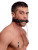 Silicone Bit Gag With Nipple Clamps Silicone Bit Gag With Nipple Clamps