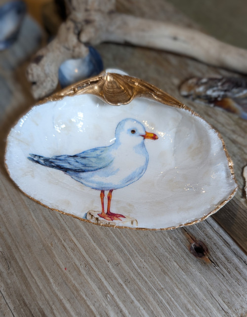 Seagull on clam shell Seagull on clam shell