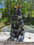 Mussel shell tree w/ starfish accent