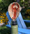 Vintage lobster Oyster Shell Bottle Stopper