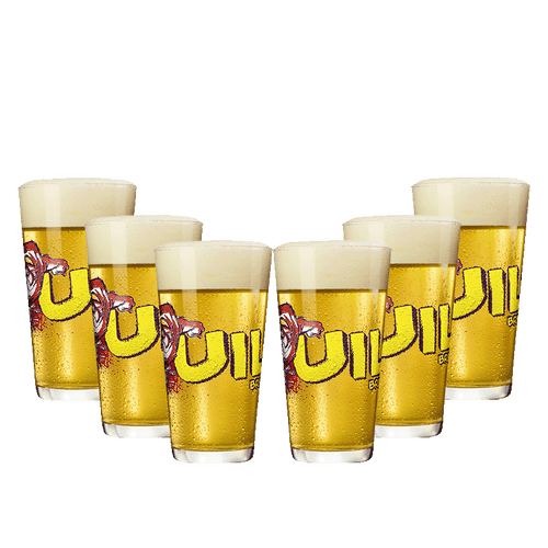 6x Uiltje Bird of Prey bierglazen