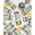 SYNQ Green- sfeerafbeelding 2