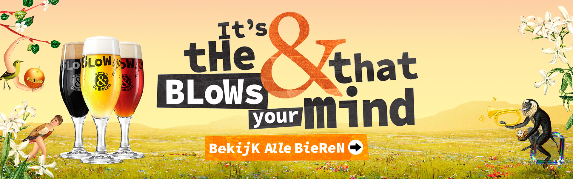 Ontdek alle bieren