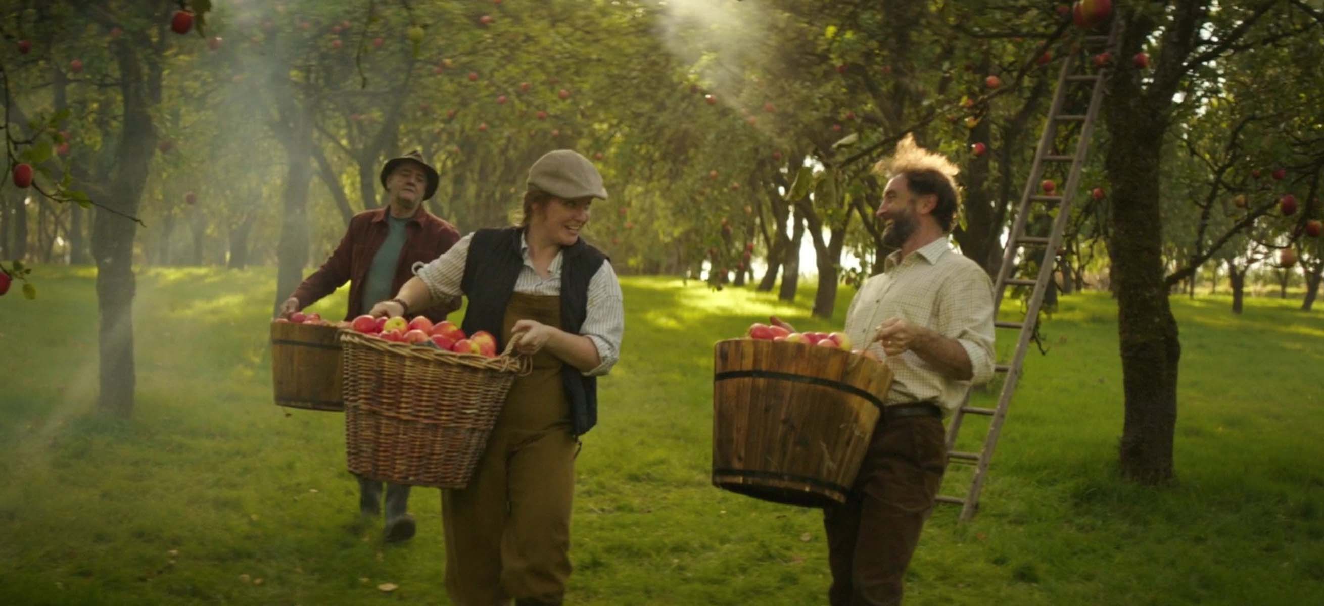 Magners Irish Cider