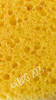 Fine Honeycomb Sponge, Full Round