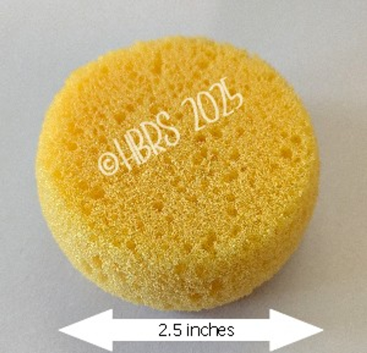 Fine Honeycomb Sponge, Full Round