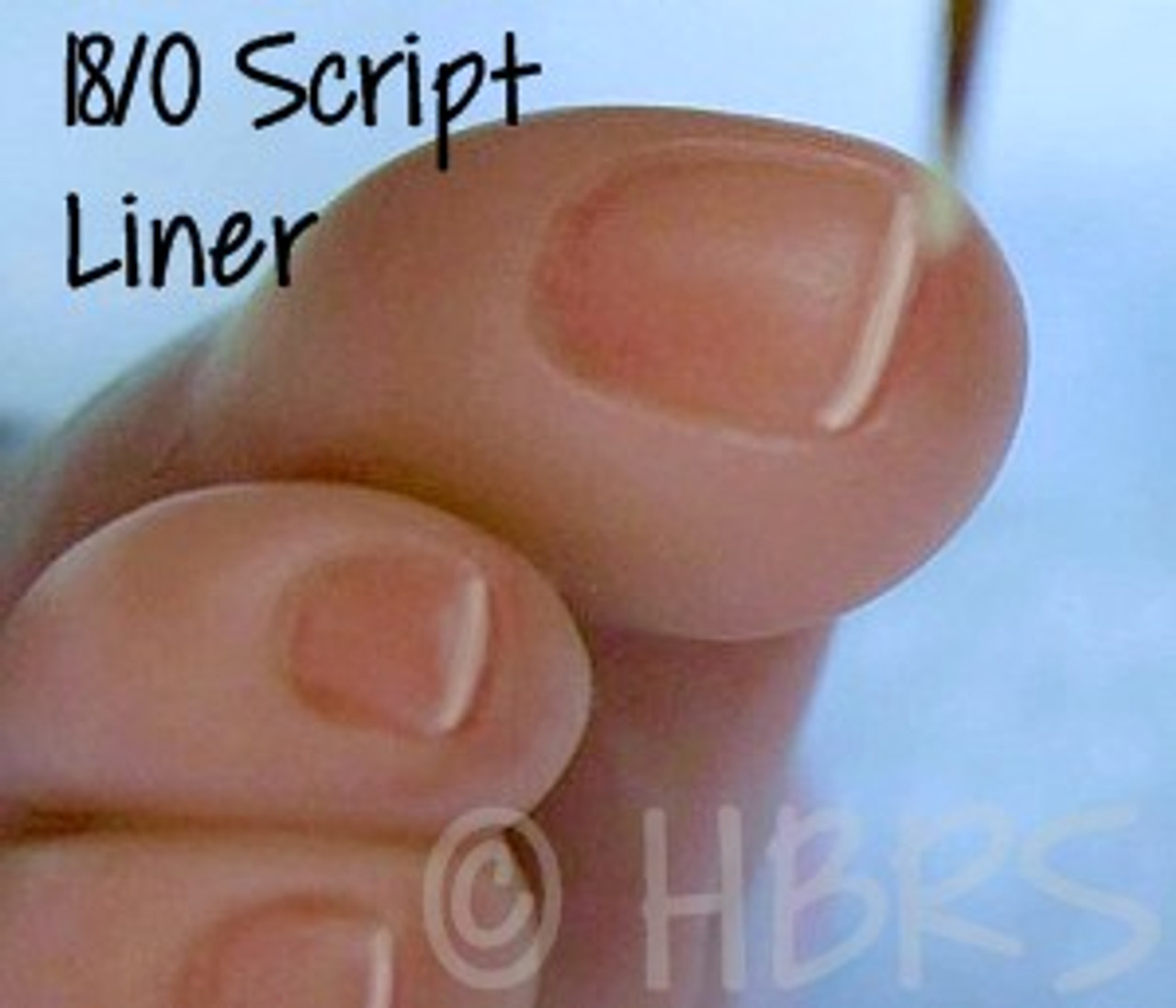 18/0 Script Liner 18/0 Script Liner