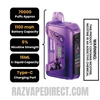 Blueberry French Toast RAZ VUE 70K Halloween Edition Disposable Kit Specifications