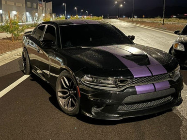 TruHart StreetPlus Coilovers #TH-D802