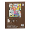 Bristol Paper Pad Series 400 Vellum 9 x 12