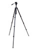 Artist's Field Tripod