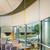 Solar Window Shade