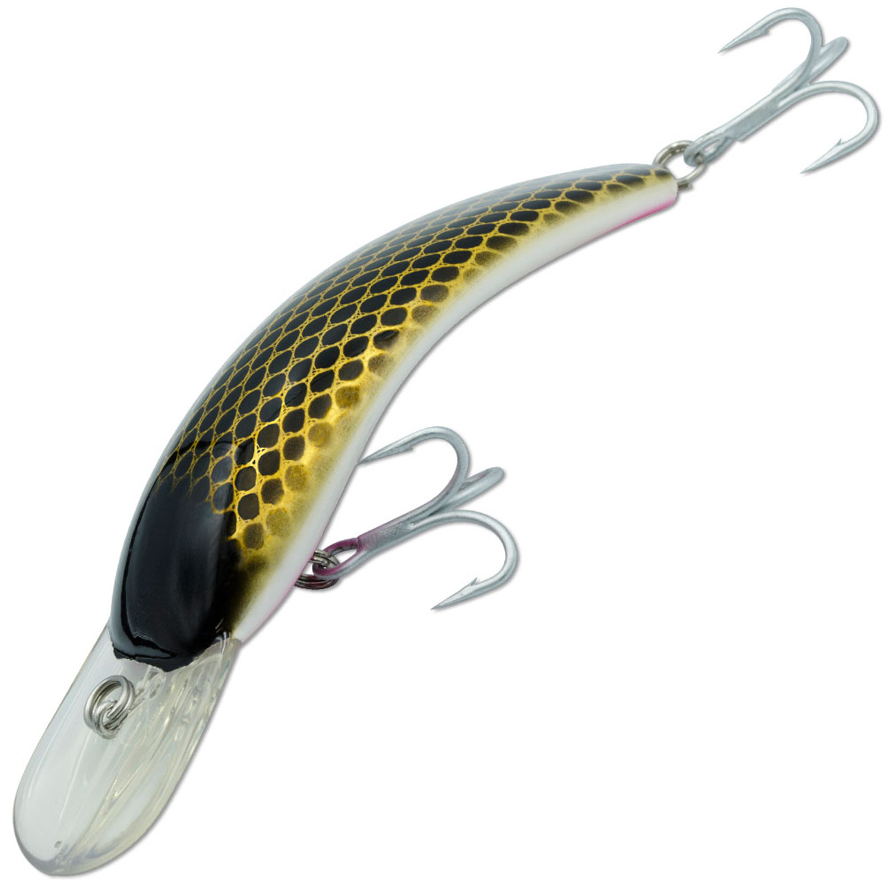 Fresh water fishing & Spin fishing - LURELOVERS Australian Fishing Lure  Community