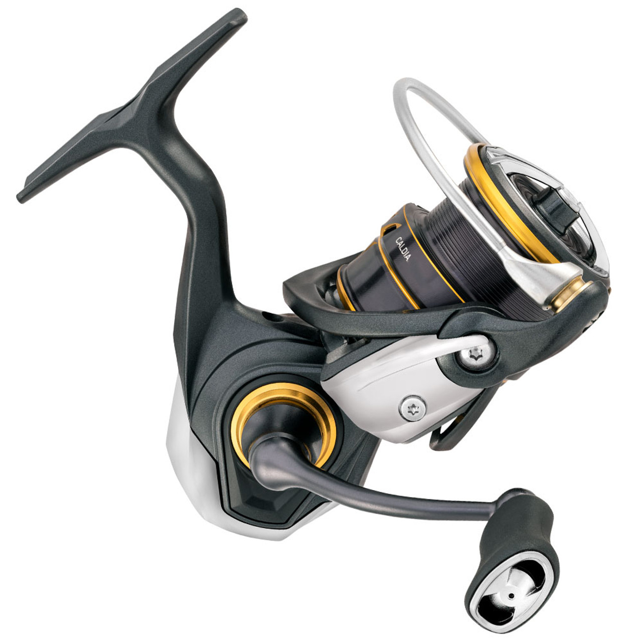 Daiwa Caldia MQ Reel | Fishing Tackle Shop