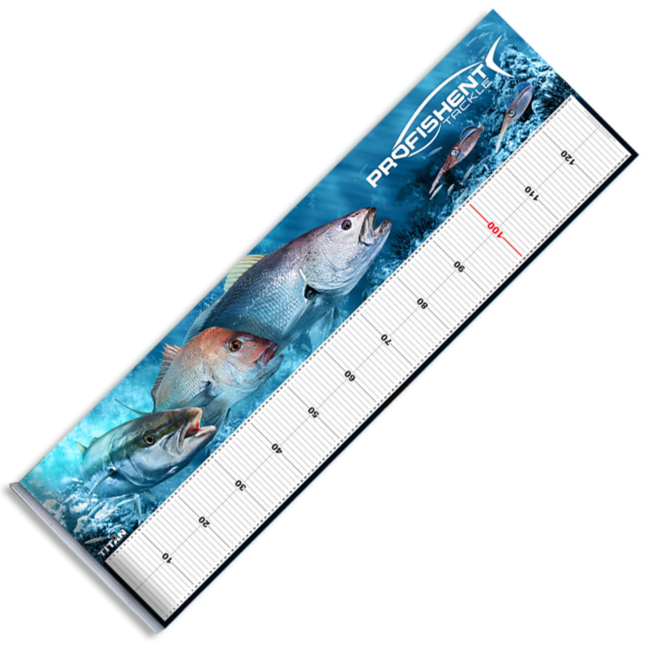 https://cdn11.bigcommerce.com/s-55834/images/stencil/1280x1280/products/5014/18442/mmksj-kingfish-snapper-jewfish-fish-measure-mat__15353.1648962975.jpg?c=2