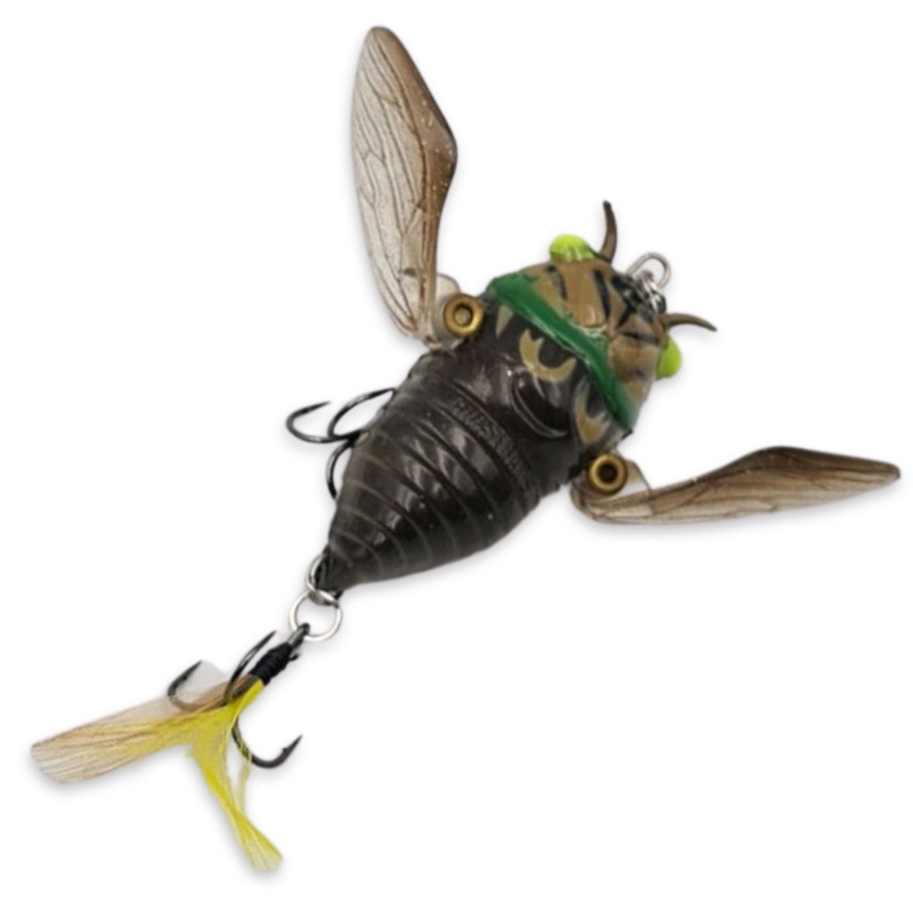 The Ripple Cicada