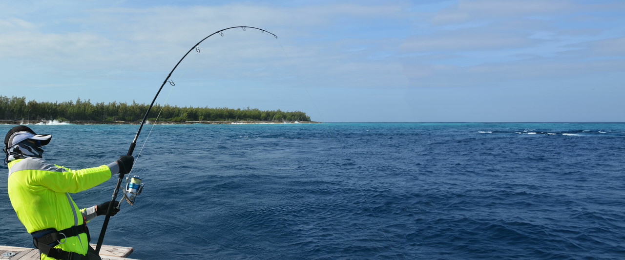 https://cdn11.bigcommerce.com/s-55834/images/stencil/1280x1280/v/gt-popper-fishing-rods-australia__26739.original.jpg