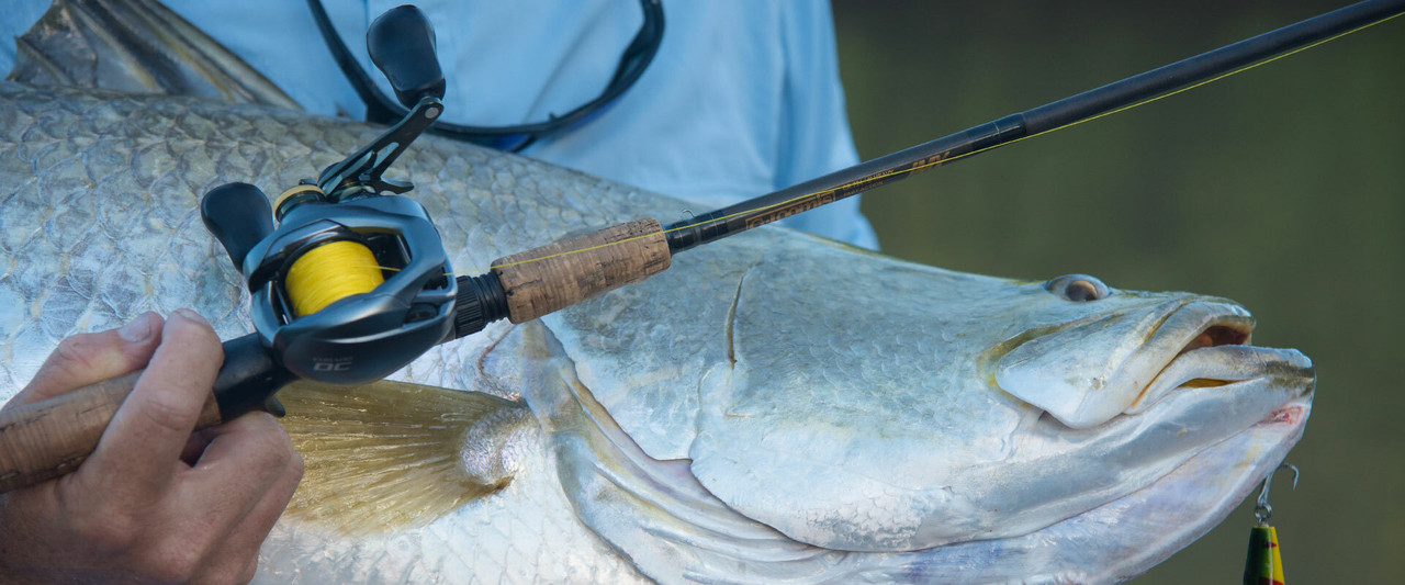 Shimano Baitcaster Fishing Reels