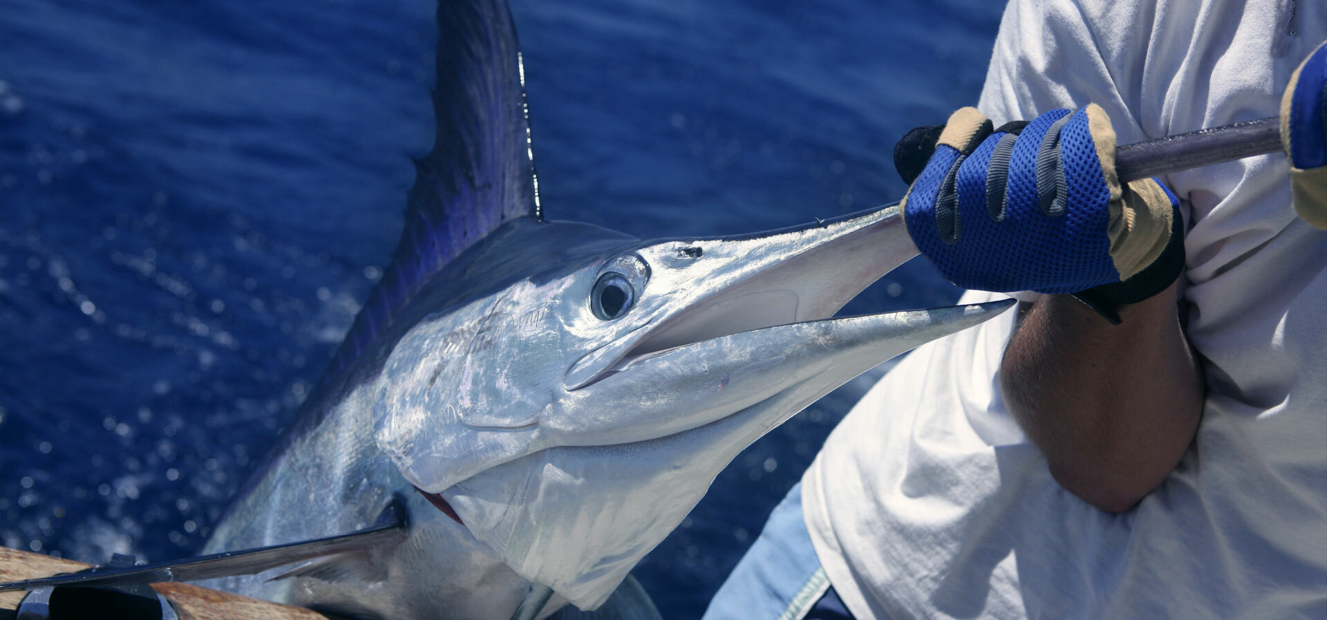 Game Fishing Tackle For Sale