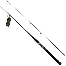 Daiwa Saltist Hyper Fishing Rods | Boat, Rock & Shore