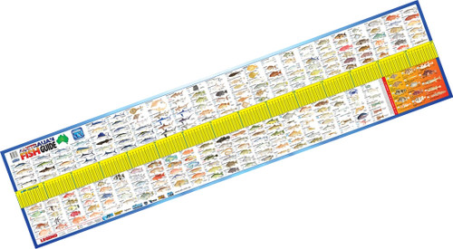 AFN Maxi Fish ID guide measure mat