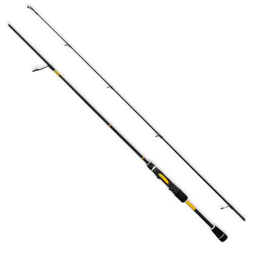 Types of Fishing Rods: A Primer for Beginners 