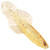 Gold Shiner