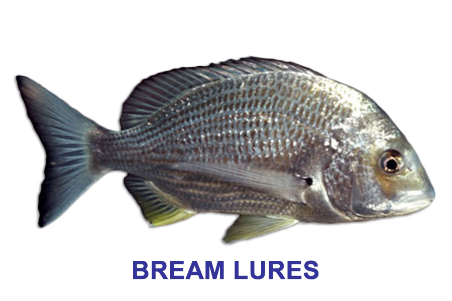 Gillies Species Pack Bream + Line