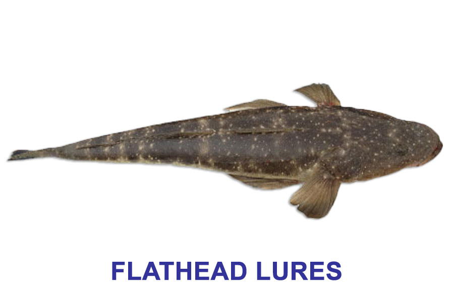 Flathead Lures