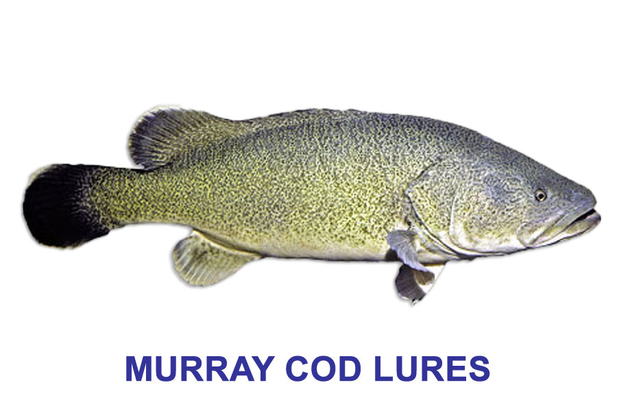 Murray Cod Lures