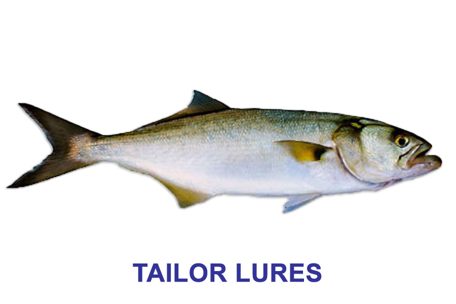 Tailor Lures