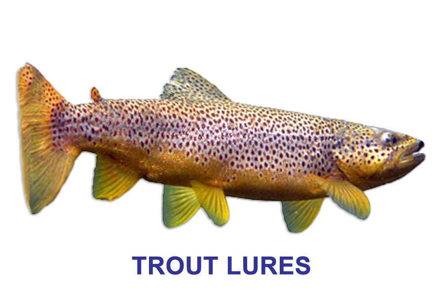 Best Lures Species Specific - Saltwater Freshwater