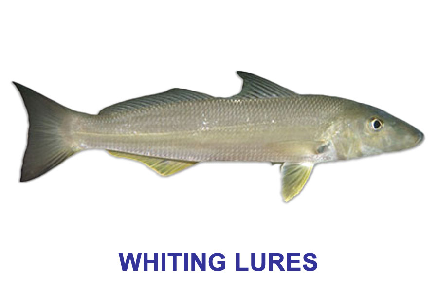 Whiting Lures