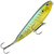 Green Sprat Colour