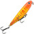 Mango Tiger Colour