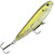 Olive Baitfish Colour