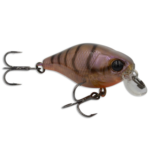 chubby fishing lure River Run Les Crankbait JYG Pro Chubby swimbaits feature tall baitfish profiles Jackall Chubby Fishing Lures -