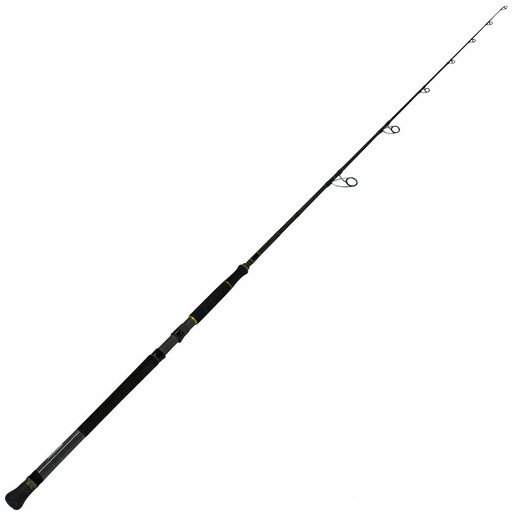 Penn Ocean Assassin Popper Rod