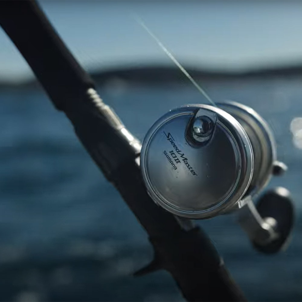 new penn torque ii spinning reel 1339434 5.5:1 Gear Ratio 38