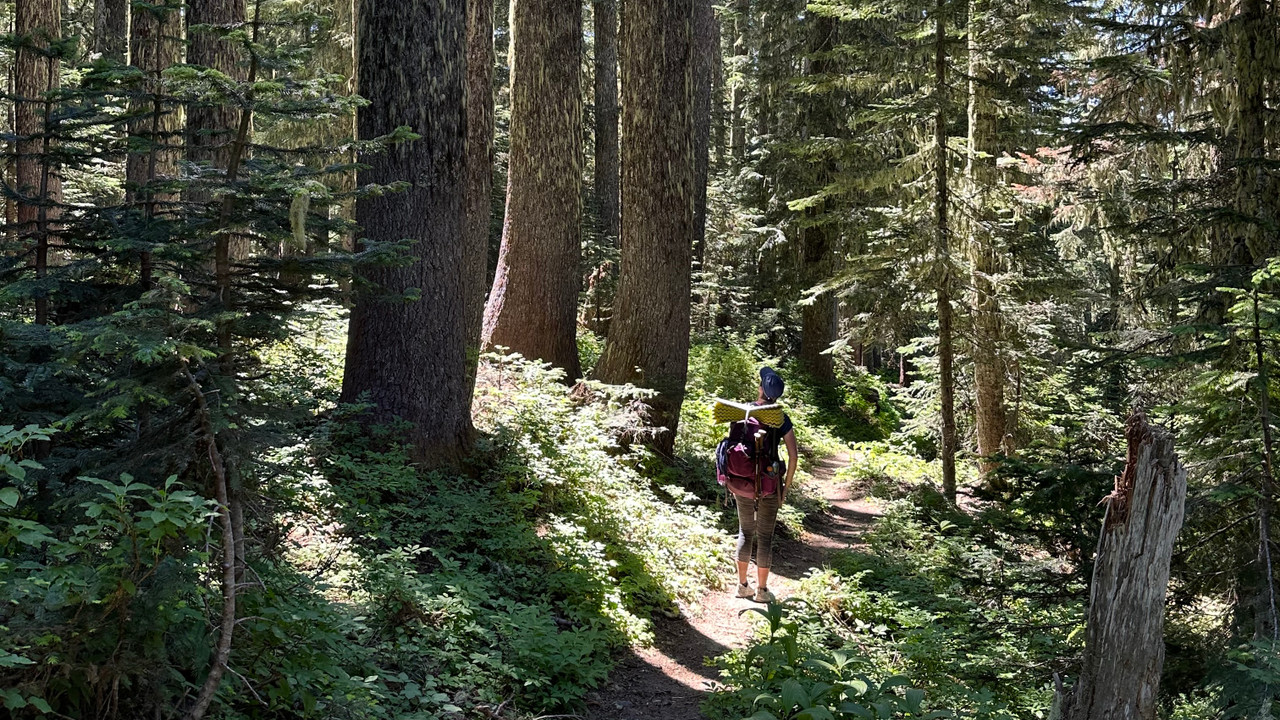 Top 5 Favorite Hiking Trails Top 5 Favorite Hiking Trails