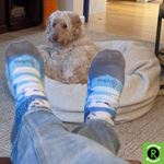 Lake Waramaug Polar Bear Run Socks Lake Waramaug Polar Bear Run Socks