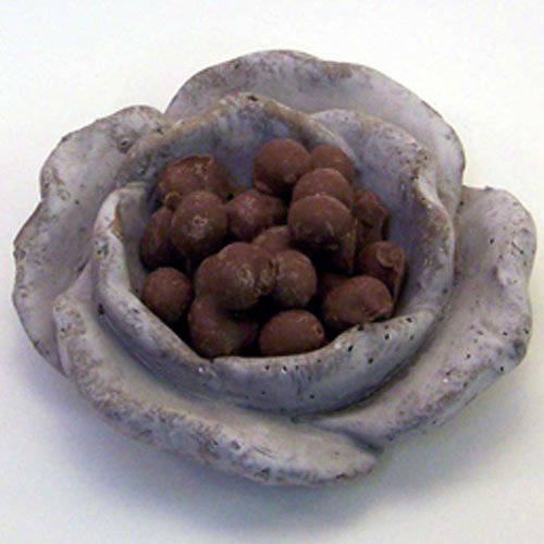 Chocolate Double Dipped Peanuts