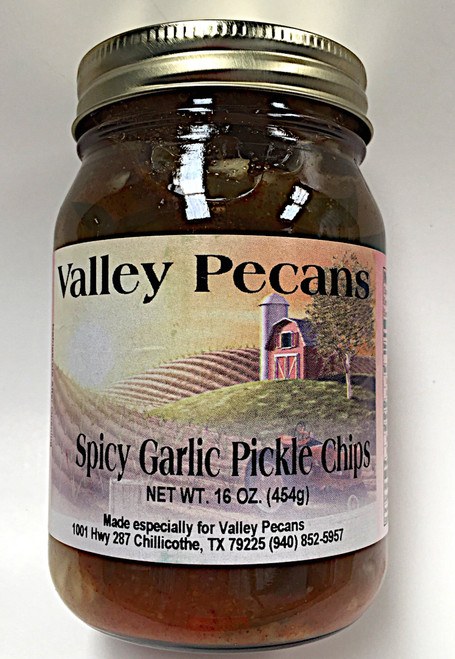 Spicy Garlic Pickle Chips